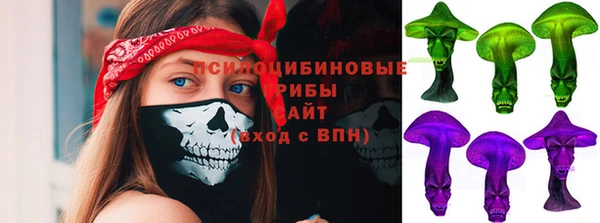 спиды Белокуриха