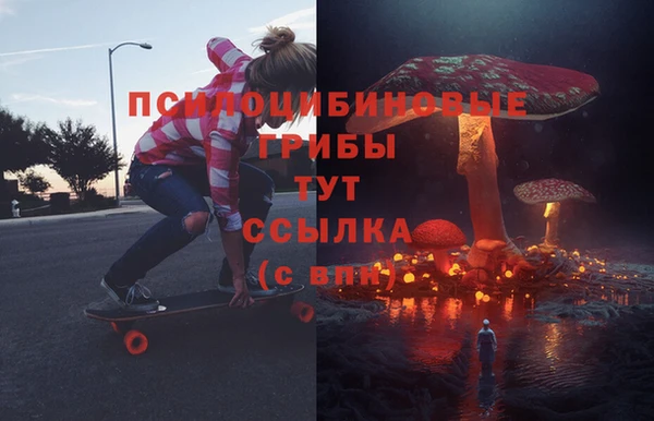 спиды Белокуриха